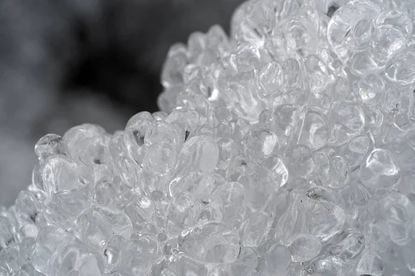 Icicles frozen ice on tree branches — Stock Photo, Image