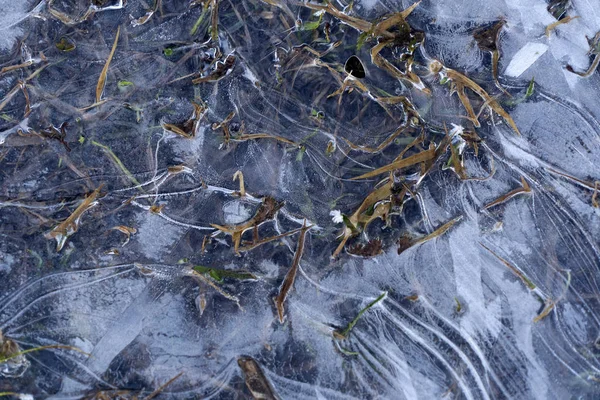 Ijspegels bevroren ijs op gras meer — Stockfoto