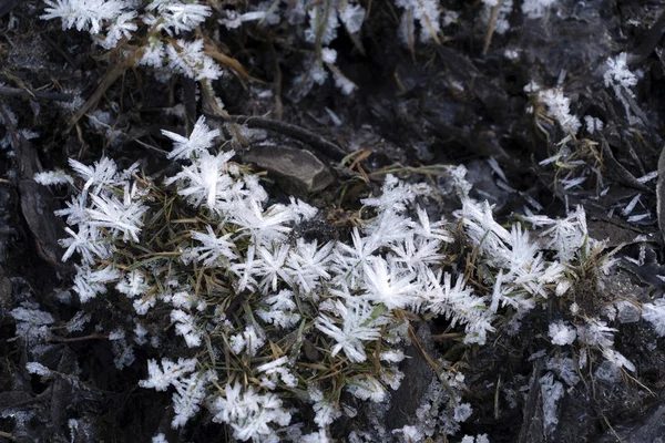 Ghiaccioli ghiaccio congelato sul lago di erba — Foto Stock