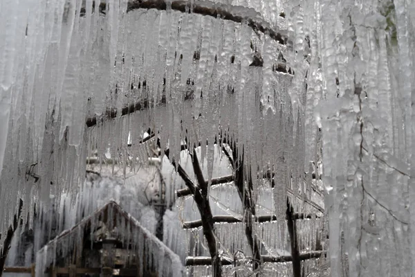 Carámbanos hielo congelado en ramas de árboles — Foto de Stock