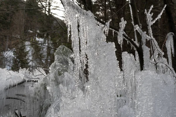 Carámbanos hielo congelado en ramas de árboles — Foto de Stock