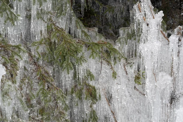 Glaçons glace gelée sur les branches d'arbres — Photo