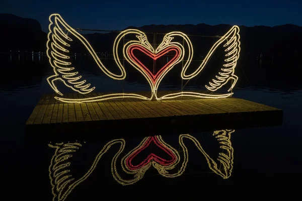 Amor cisne lago reflejo en sangrado — Foto de Stock