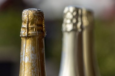 Şampanya şişeleri. 