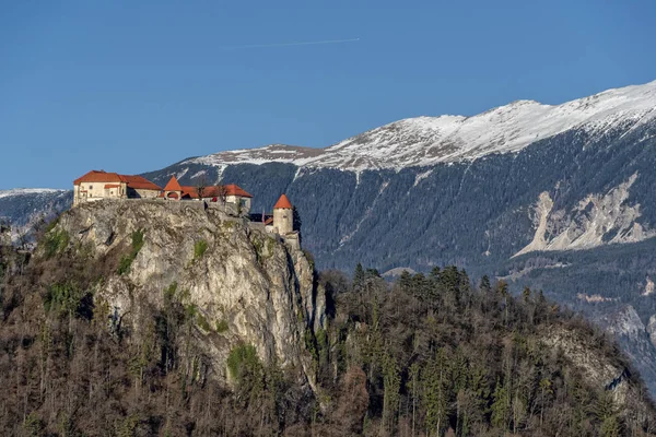 Ausgeblutete Seeschloss-Luftaufnahme im Winter — Stockfoto