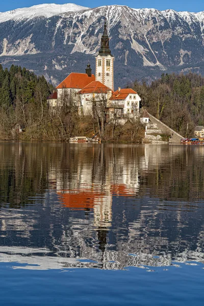 Lago sangrado vista panorâmica da igreja no inverno — Fotografia de Stock