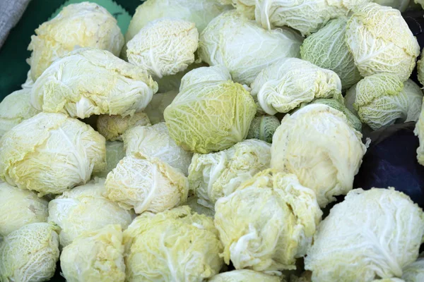 Kohlkraut zum Verkauf auf dem Markt — Stockfoto