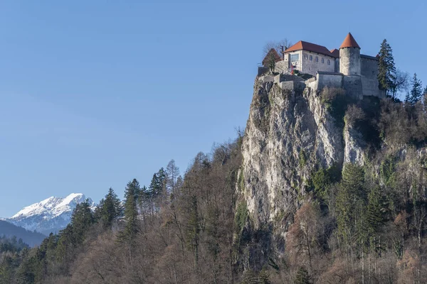 Bled κάστρο την ηλιόλουστη ημέρα του χειμώνα — Φωτογραφία Αρχείου