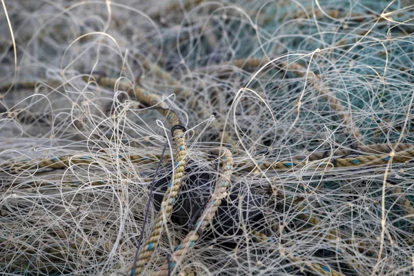 Dead bird trapped in fishing net — ストック写真