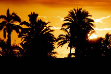 Baja California 'da gün doğumu 