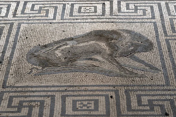 Pompei tabloları ve mozaiği mahvediyor — Stok fotoğraf