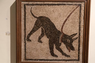 Pompei tabloları ve mozaiği mahvediyor