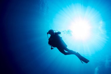 diver silhouette in the blue sea