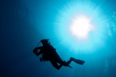 diver silhouette in the blue sea