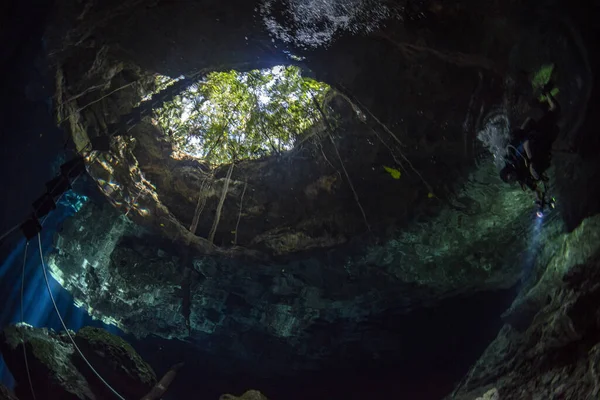 Plongée dans la grotte au Mexique cenote — Photo