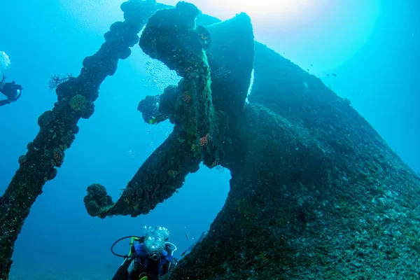 Diver near propeller ship wreck in the blue sea — Stock Photo, Image