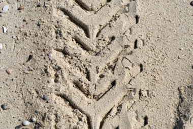 offroad tire track on sandy beach detail