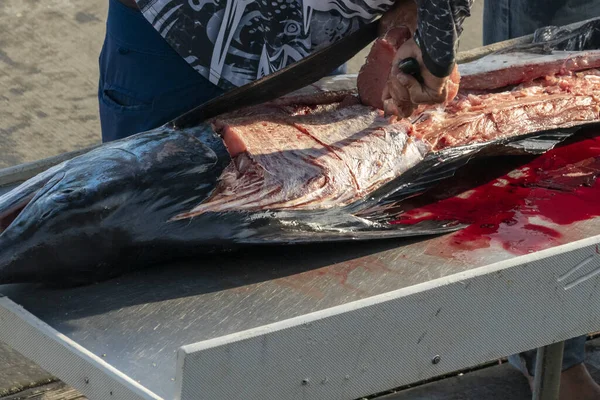 Mains Pêcheur Coupant Détail Marlin Frais — Photo