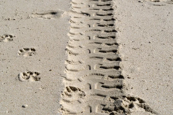 Offroad Reifenspur Sandstrand Detail — Stockfoto