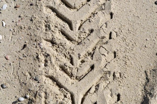 Offroad Tire Track Sandy Beach Detail — Stock Photo, Image