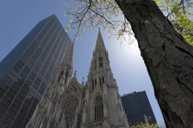 New York Aziz Patrick Katedrali alışılmadık manzarası