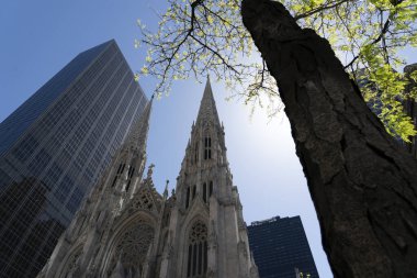 New York Aziz Patrick Katedrali alışılmadık manzarası