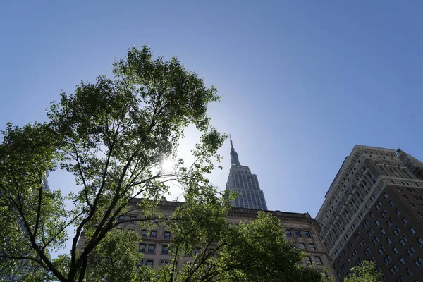 New York Şehri Cadde Paraşütçüleri — Stok fotoğraf