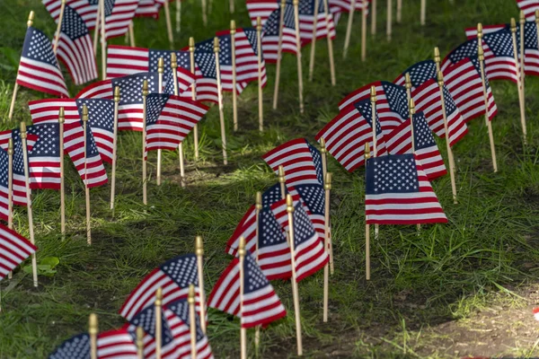 Många Usa Flaggor Grönt Gräs Fält — Stockfoto