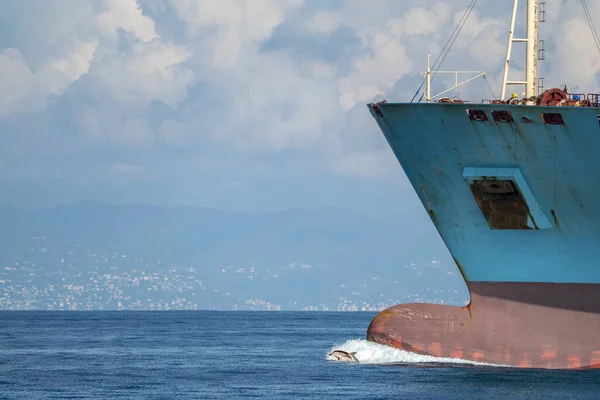 Delfín Saltando Cerca Gran Barco Proa —  Fotos de Stock