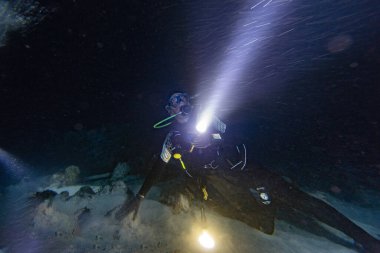 Scuba dalgıcı Kara Okyanus 'ta gece güçlü akıntıda