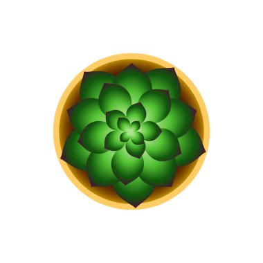 Lezzetli. Şirin vektör çizimi. Yukarıdan görüntüle