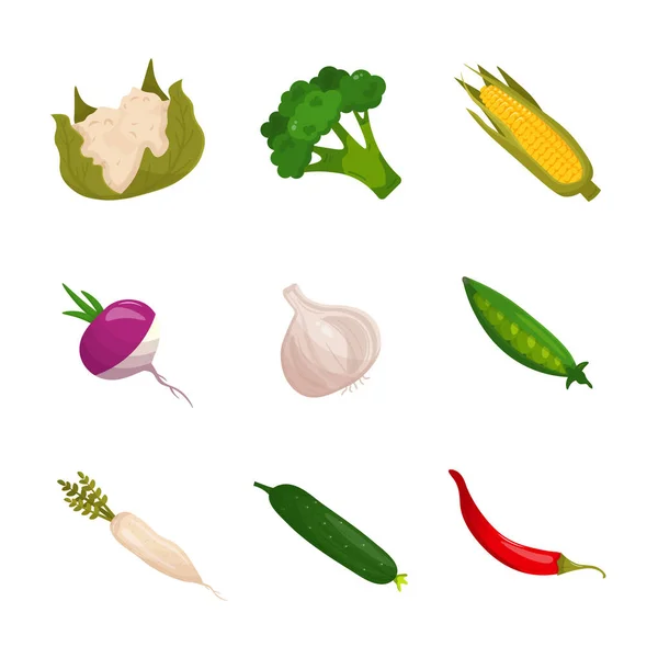 Sada kreslené zeleniny — Stockový vektor
