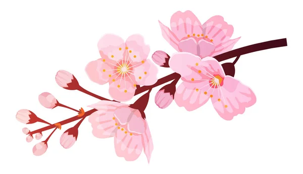 Rama de sakura con flores — Vector de stock