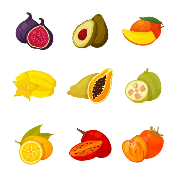Exotická sada ovoce — Stockový vektor