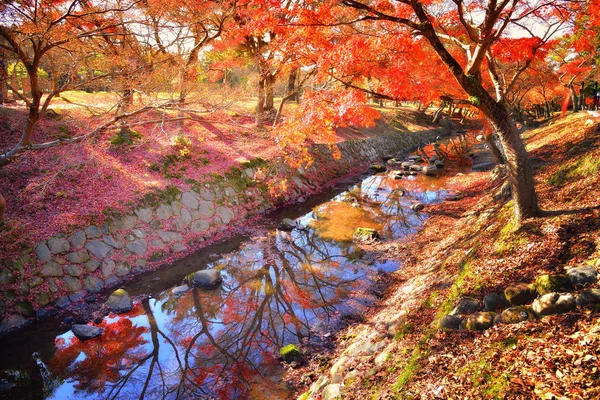 Nara Park im Herbst — Stockfoto