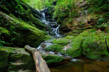 güzel şelale akışı