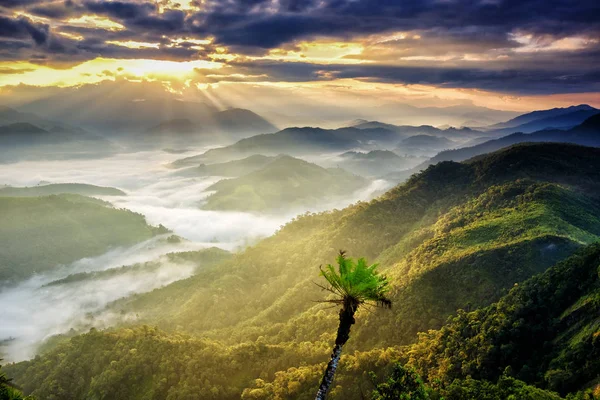 Top of the mountain view το πρωί στο Lerkwador, επαρχία Tak, Ταϊλάνδη — Φωτογραφία Αρχείου