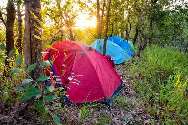 Campeggio con tende nella foresta tropicale su Sanpakha — Foto Stock