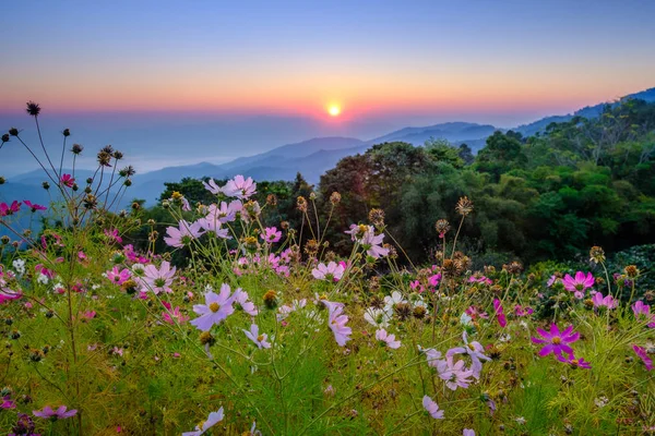 Вид с горы Дой Мэй Таман утром — стоковое фото