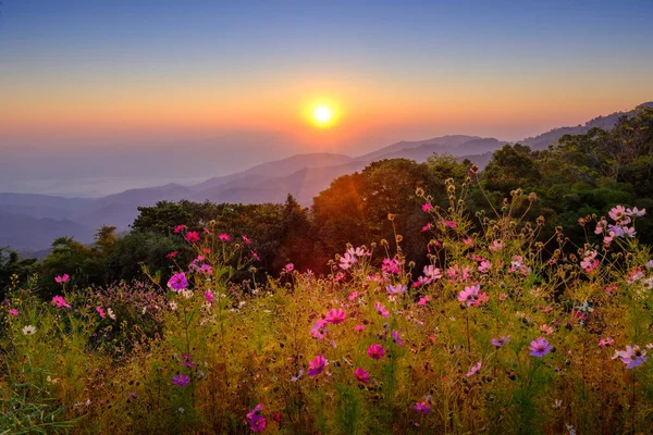 Вид с горы Дой Мэй Таман утром — стоковое фото