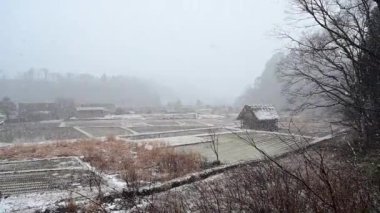 Shirakawago 'nun kışı kar yağan tarihi köy, Ono bölgesi, Gifu bölgesi, Japonya