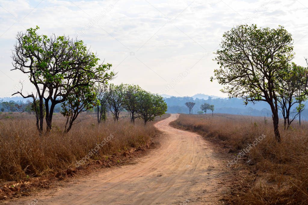 Dirt road in Thung Salaeng Luang Nation Park, Thailand