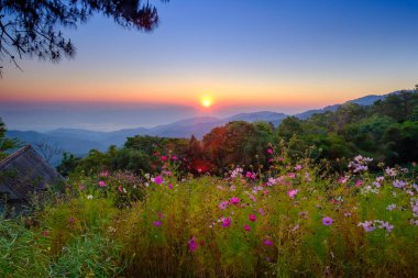 Doi Mae Taman Dağı 'nın manzarası, Chiangmai, Tayland
