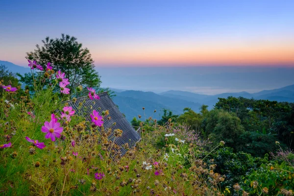 Point Vue Depuis Montagne Doi Mae Taman Matin Chiangmai Thaïlande — Photo