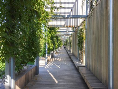 Yeşil tarlaların arka planında tahta tahta kaldırım