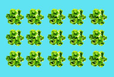 Mavi arkaplanda yeşil yapraklı renkli desen