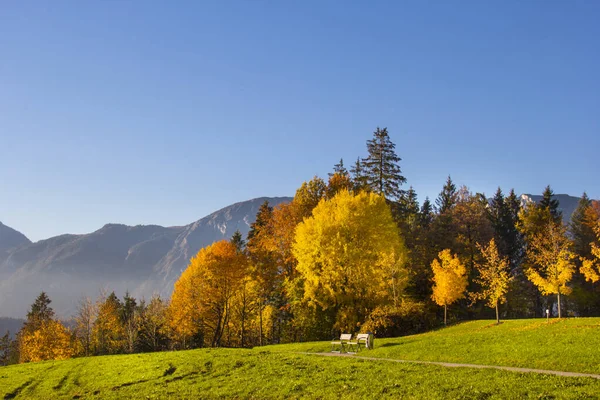 Herfst Uitzicht Het Park Bergen — Stockfoto