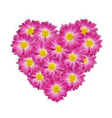 Beyaz arka planda pembe Gerbera çiçeklerinin kalbi. Tebrik kartı