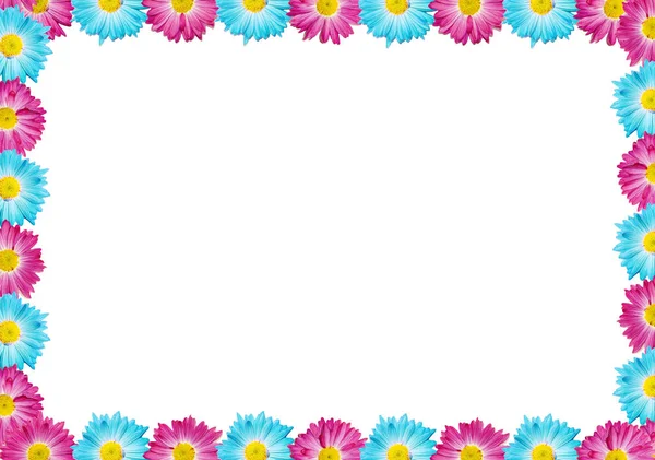 Beyaz arka planda pembe ve mavi Gerbera çiçekleri deseni. Tebrik kartı