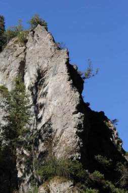 Dağlar, güneş ve mavi gökyüzü yaz günü. Güzel dağ arkaplanı